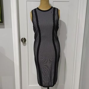 Fitted Shift Dress